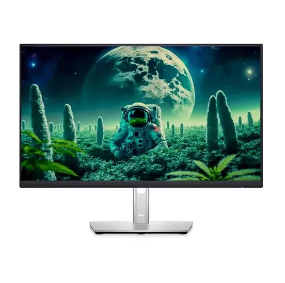 Dell P2422H