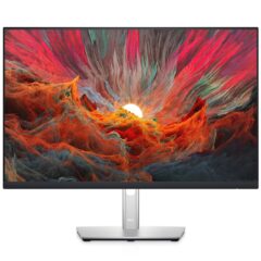 Dell P2422H