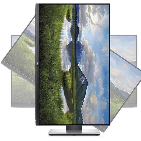 Dell P2422H